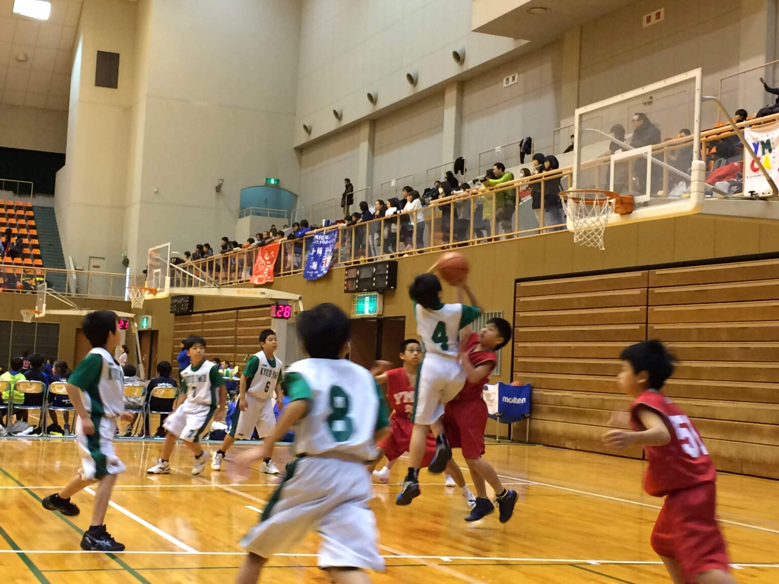 バスケットボール 京都YMCAウェルネス・スポーツ